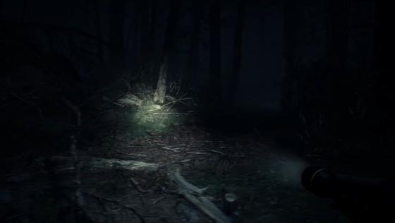 Blair Witch Screenshot 57 (PlayStation 4 (EU Version))