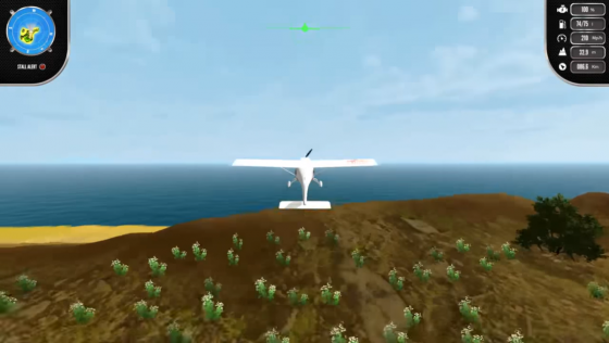 Island Flight Simulator