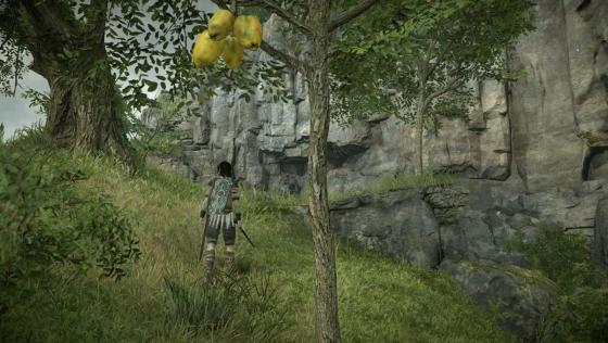 Shadow Of The Colossus Screenshot 23 (PlayStation 4 (JP Version))