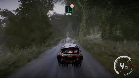 WRC 9 Screenshot 40 (PlayStation 5 (EU Version))