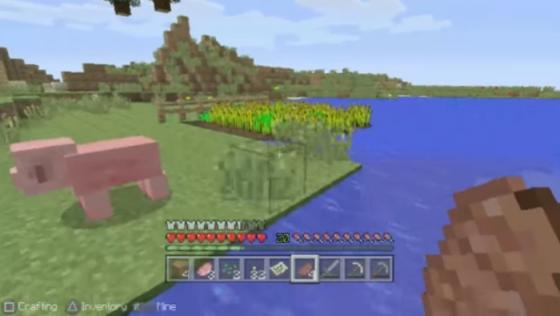 Minecraft Screenshot 45 (PlayStation Vita)