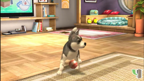 Pets Screenshot 15 (PlayStation Vita)