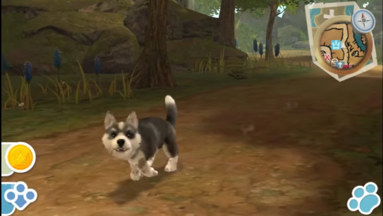 Pets Screenshot 49 (PlayStation Vita)