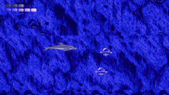 Ecco The Dolphin