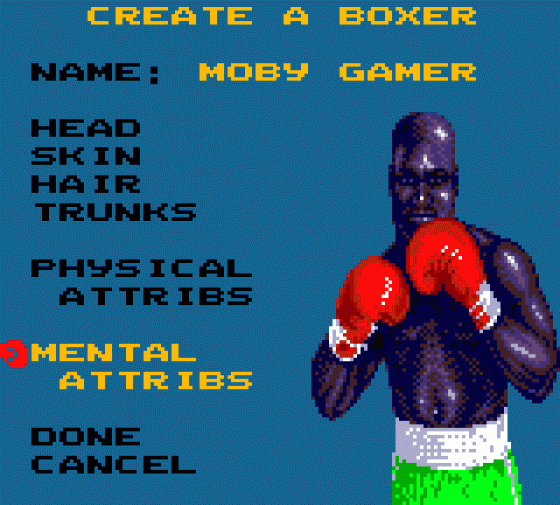 Evander Holyfield's Real Deal Boxing Screenshot 11 (Sega Game Gear (US Version))