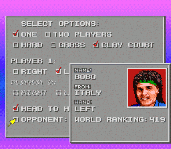 David Crane's Amazing Tennis Screenshot 9 (Sega Genesis)