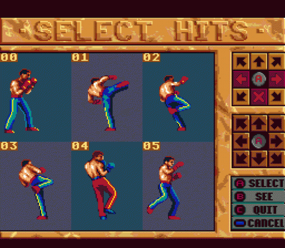 Best Of The Best: Championship Karate Screenshot 8 (Sega Genesis)