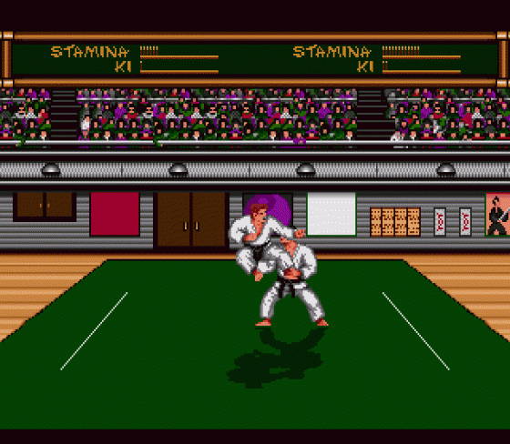 Budokan: The Martial Spirit Screenshot 5 (Sega Genesis)