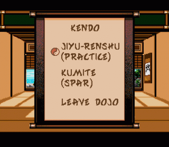 Budokan: The Martial Spirit Screenshot 8 (Sega Genesis)