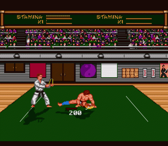 Budokan: The Martial Spirit Screenshot 12 (Sega Genesis)