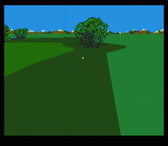 PGA Tour Golf Screenshot 22 (Sega Genesis)