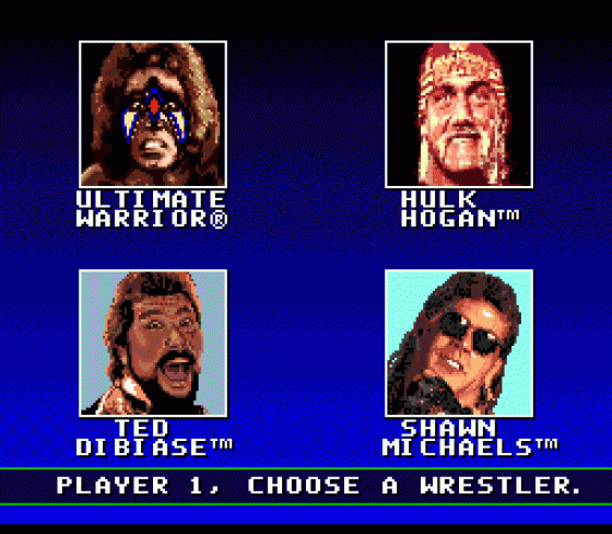 WWF Super Wrestlemania Screenshot 7 (Sega Genesis)