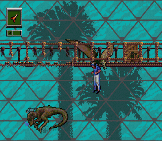 Jurassic Park: Rampage Edition Screenshot 5 (Sega Genesis)