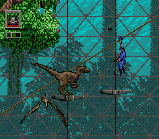 Jurassic Park: Rampage Edition Screenshot 14 (Sega Genesis)