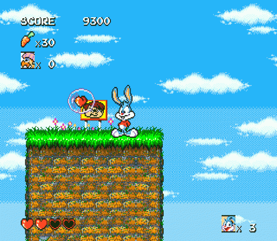 Tiny Toon Adventures: Buster's Hidden Treasure Screenshot 10 (Sega Genesis)