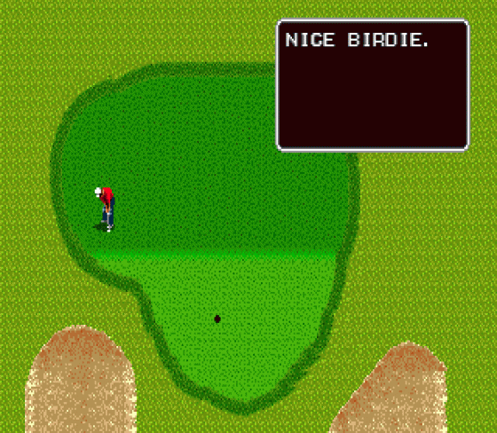 Arnold Palmer Tournament Golf Screenshot 6 (Sega Genesis)