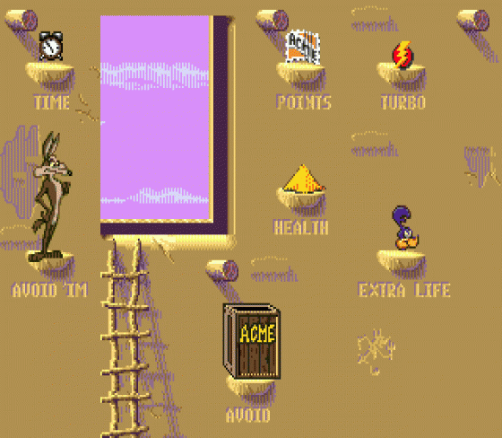 Desert Demolition Starring Road Runner And Wile E. Coyote Screenshot 7 (Sega Genesis)