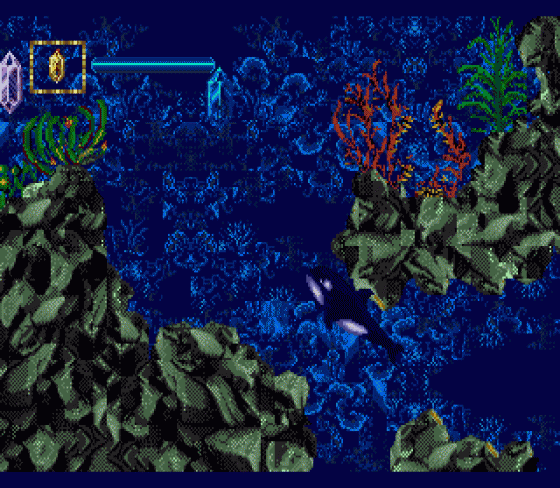 Ecco Jr. Screenshot 6 (Sega Genesis)