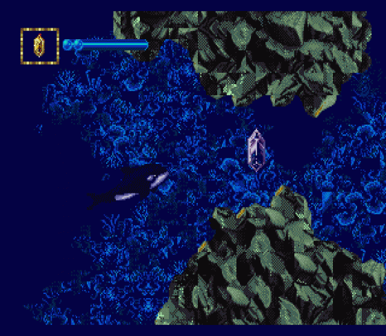 Ecco Jr. Screenshot 8 (Sega Genesis)