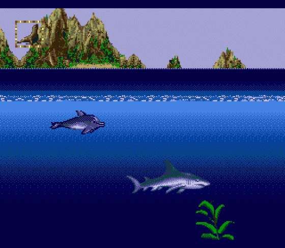 Ecco Jr. Screenshot 10 (Sega Genesis)