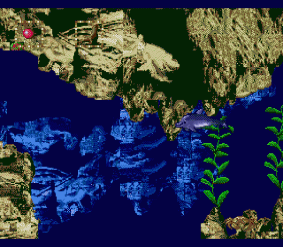 Ecco Jr. Screenshot 12 (Sega Genesis)