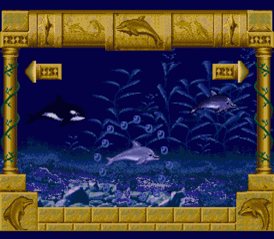 Ecco Jr. Screenshot 20 (Sega Genesis)