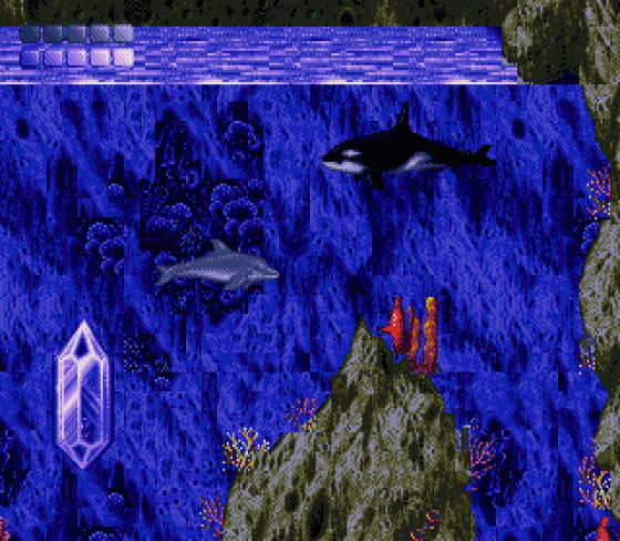 Ecco The Dolphin Screenshot 8 (Sega Genesis)