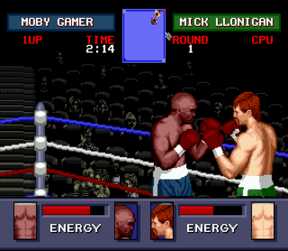 Evander 'Real Deal' Holyfield's Boxing Screenshot 12 (Sega Genesis)