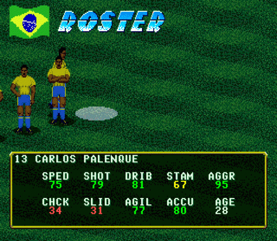 Pele's World Tournament Soccer Screenshot 23 (Sega Genesis)