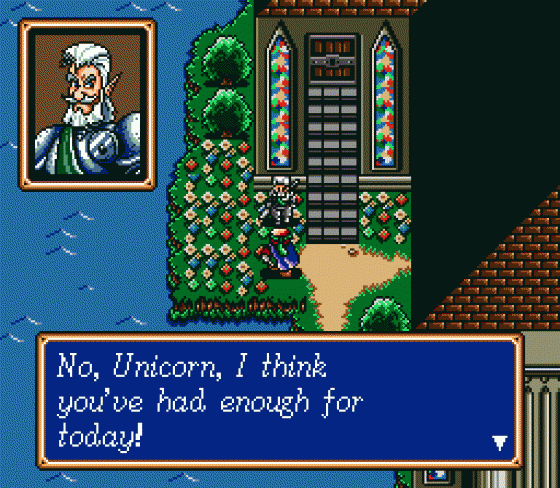 Shining Force Screenshot 14 (Sega Genesis)