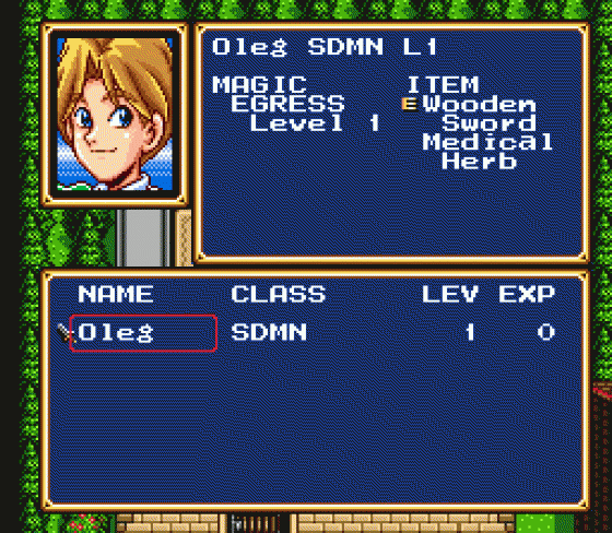 Shining Force 2 Screenshot 6 (Sega Genesis)