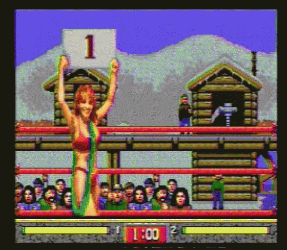 Toughman Contest Screenshot 10 (Sega Genesis)