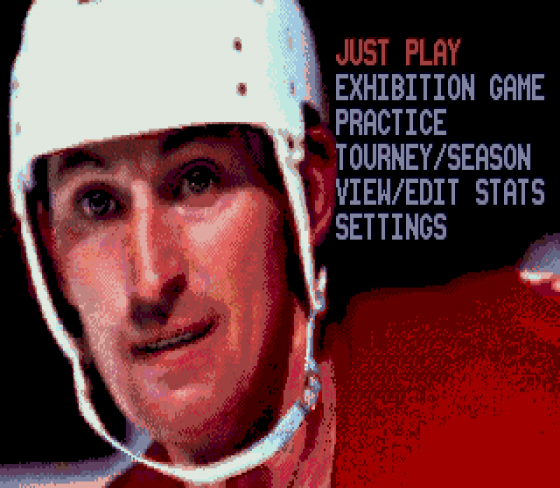 Wayne Gretzky And The NHLPA All-Stars