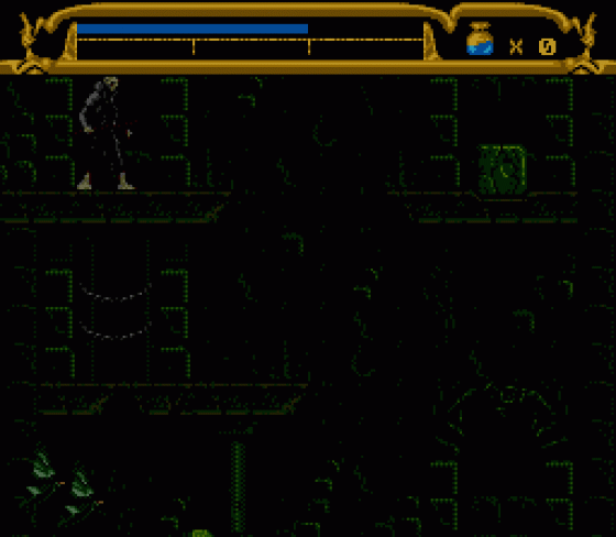 Mary Shelley's Frankenstein Screenshot 35 (Sega Genesis)