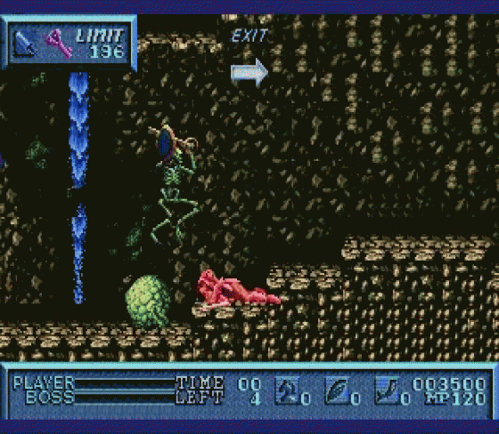 Saint Sword Screenshot 7 (Sega Genesis)