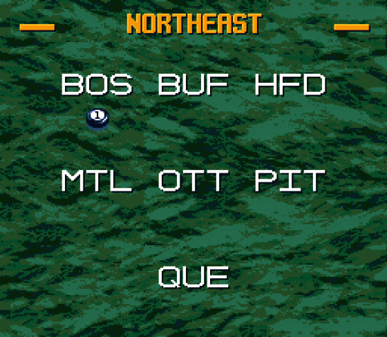 Tecmo Super Hockey Screenshot 11 (Sega Genesis)