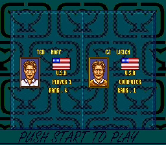 Davis Cup Tennis Screenshot 11 (Sega Genesis)