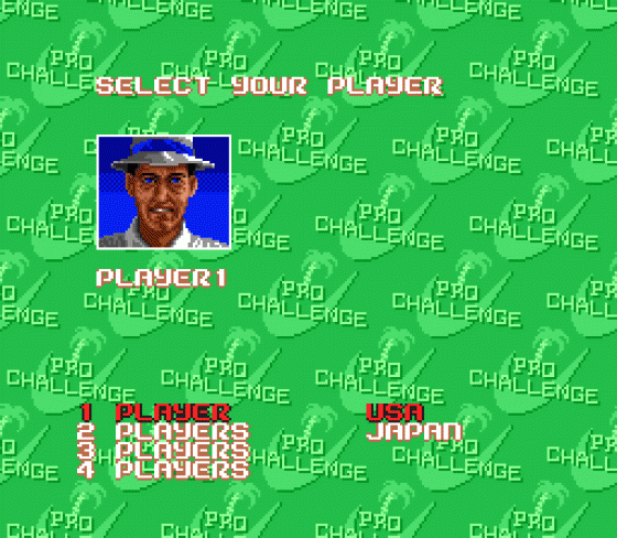 Chi Chi's Pro Challenge Golf Screenshot 14 (Sega Genesis)