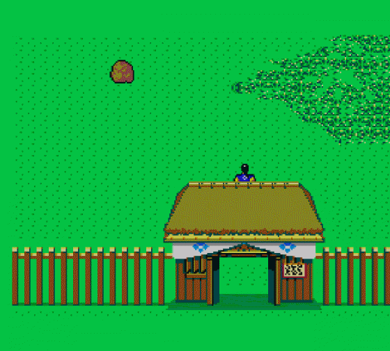 Ninja Gaiden Screenshot 5 (Sega Master System (EU Version))