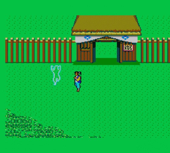 Ninja Gaiden Screenshot 6 (Sega Master System (EU Version))