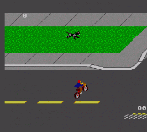 Paperboy Screenshot 7 (Sega Master System (EU Version))