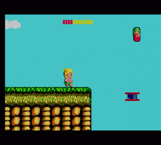 Wonder Boy Screenshot 20 (Sega Master System (EU Version))
