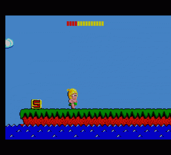 Wonder Boy Screenshot 26 (Sega Master System (JP Version))