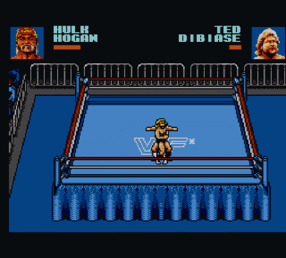 WWF: Steel Cage Challenge Screenshot 5 (Sega Master System (EU Version))