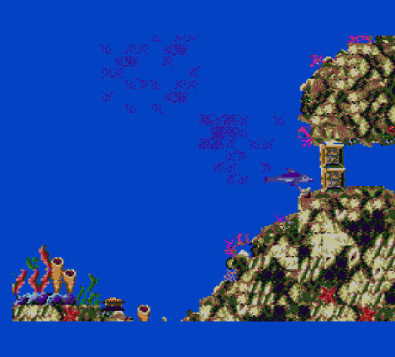 Ecco: The Tides Of Time Screenshot 6 (Sega Master System (EU Version))