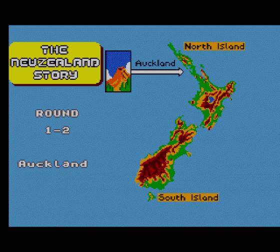 The New Zealand Story Screenshot 7 (Sega Master System (EU Version))