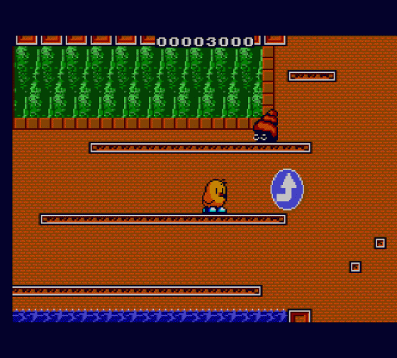 The New Zealand Story Screenshot 11 (Sega Master System (EU Version))