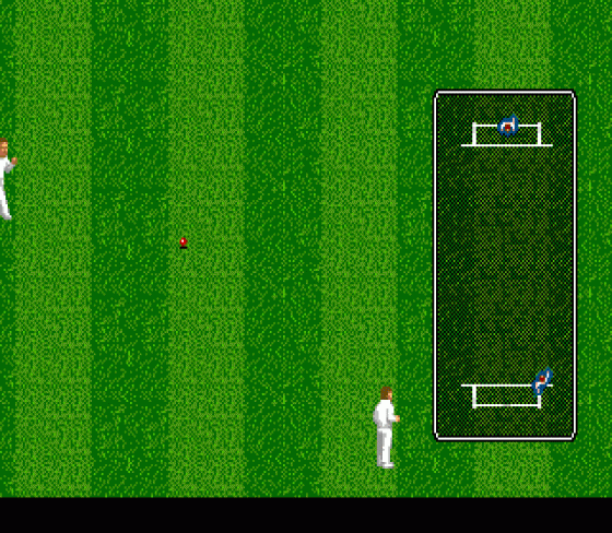 Brian Lara Cricket Screenshot 5 (Sega Mega Drive (EU Version))