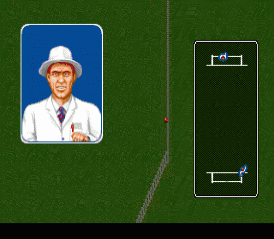 Brian Lara Cricket Screenshot 6 (Sega Mega Drive (EU Version))