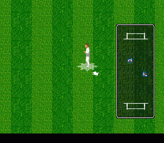 Brian Lara Cricket Screenshot 10 (Sega Mega Drive (EU Version))